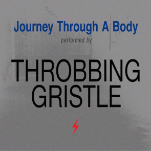 TG_journey through a body_Low